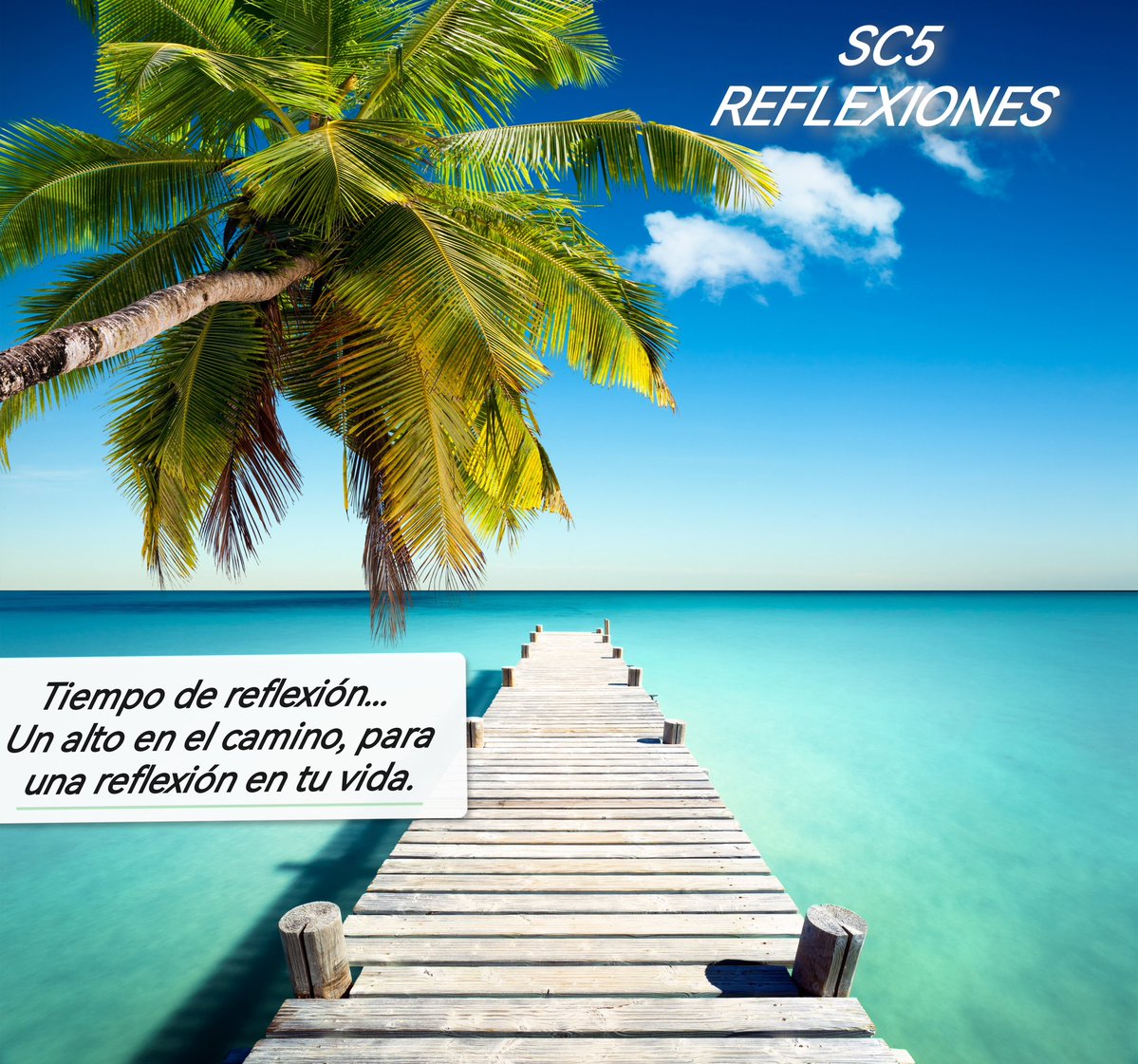SC5REFLEXIONES's tweet photo. Tiempo de reflexión... 
Un alto en el camino, para una reflexión en tu vida. https://t.co/54X4HTxs6G