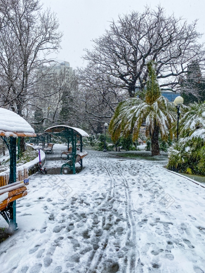 BalizaGracy's tweet photo. Brrr, the first snow of winter has landed! Everything’s glistening white and cozy vibes are locked in. Who’s ready for hot cocoa by the window， https://t.co/KUsrufIbww