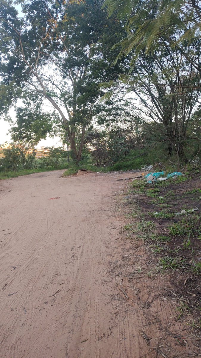 Saphado89's tweet photo. Presidente #Prudente tá muito parado, antes rolava altas sacanagens nessa trilha, vários casados no sigilo, agora a gente vai lá uma ou outra passiva horrorosa assombrando, tinha uma bixa coruja que ficava só olhando de longe eu fiquei com medo fui embora sem trepar com ninguém. https://t.co/UQZrwdBsbi