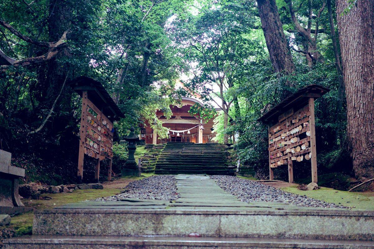 wanderlust_eq's tweet photo. 須須神社。森に佇む https://t.co/arL9ilLB9j