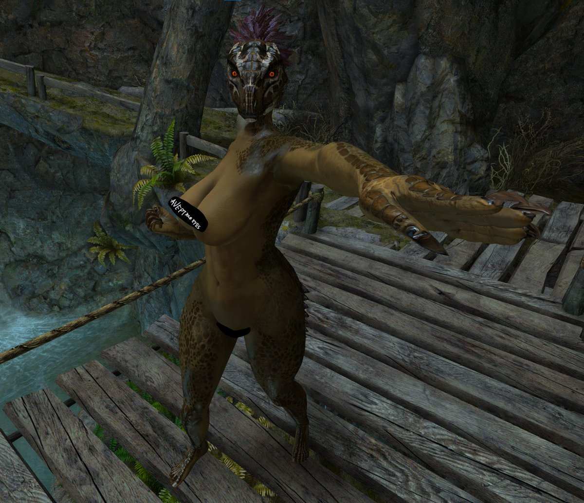 _Straurom's tweet photo. These pictures are slightly outdated by now
(apologies for the Skyrim nonsense) https://t.co/DM0ri6YEJk