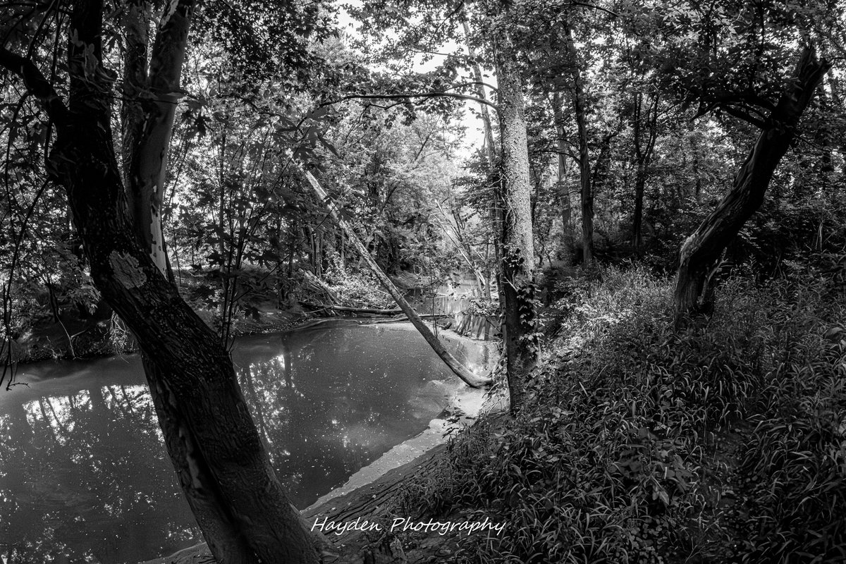 HaydenPhoto73's tweet photo. Taken 6/7/2026. https://t.co/Ak7ALa8og9