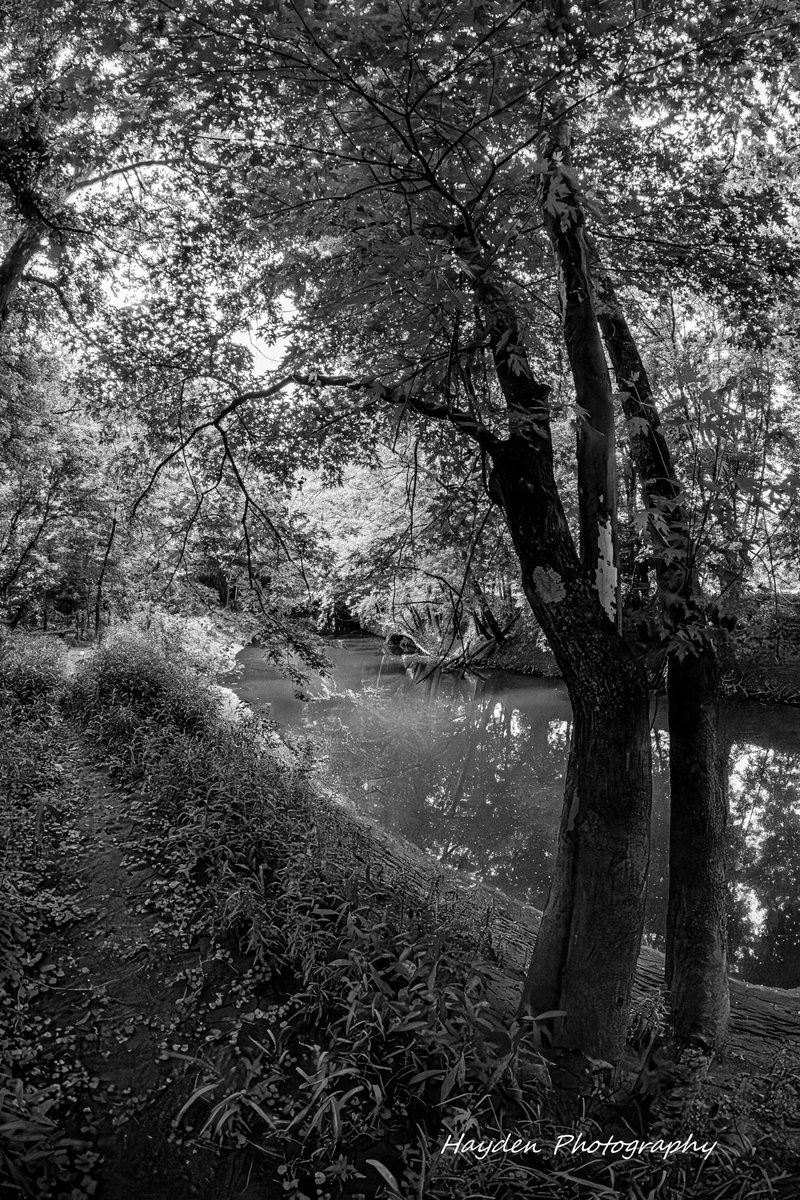 HaydenPhoto73's tweet photo. Taken 6/7/2026. https://t.co/Ak7ALa8og9