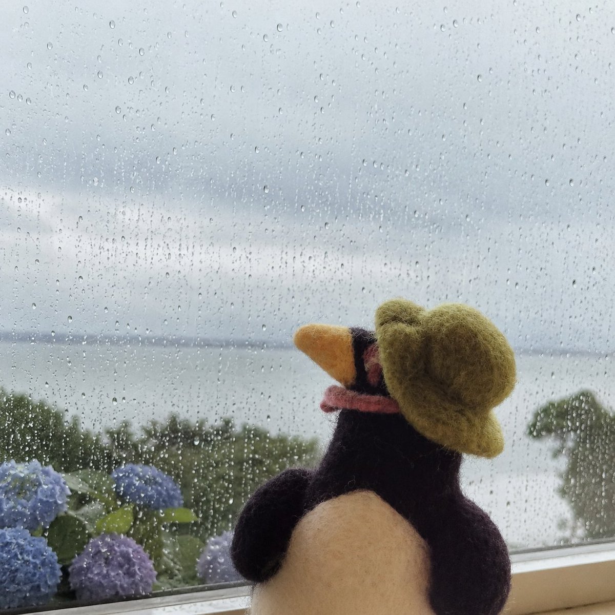 koohacreate's tweet photo. おはこうは🐧
ペン中さん、梅雨入りを確認した模様。やる気は行方不明😂
でも月曜日なのでそろそろ仕事してもらいます。

#高波クリエイト
#企業公式が朝の挨拶を言い合う
#梅雨入り https://t.co/KQYXJiKF6j
