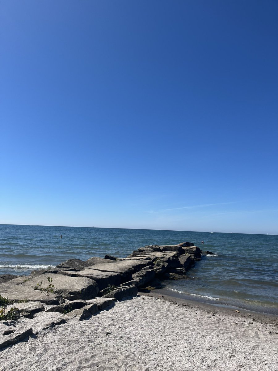 carrrl_'s tweet photo. ☀️ https://t.co/xlN17OC4Y2