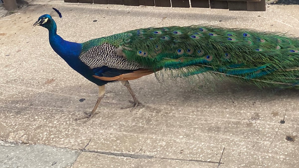 ꪖꪀꪀꪱꫀ⋆。🫧 tweet media