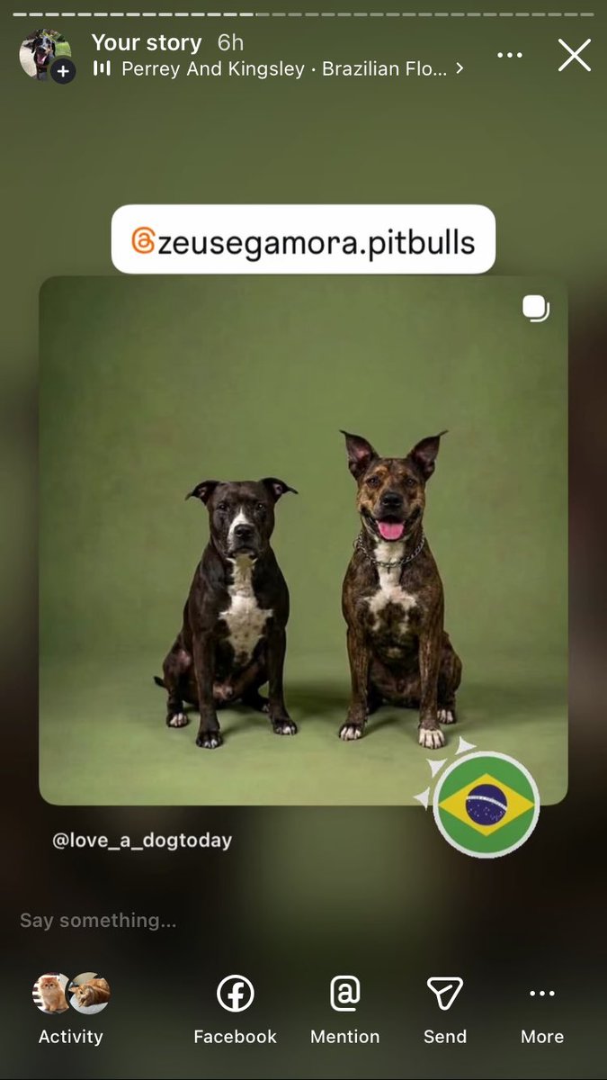 Anman248's tweet photo. Today’s Sunday friends

Follow on IG @love_a_dogtoday and @love_a_dog_today for the complete posts and profiles of these pups
.................
#dog #dogs  #loveadogtoday #loveadogday  #doglove #dogsoftwitter #twitterdogs #twitterdog https://t.co/s0dS1xinB5