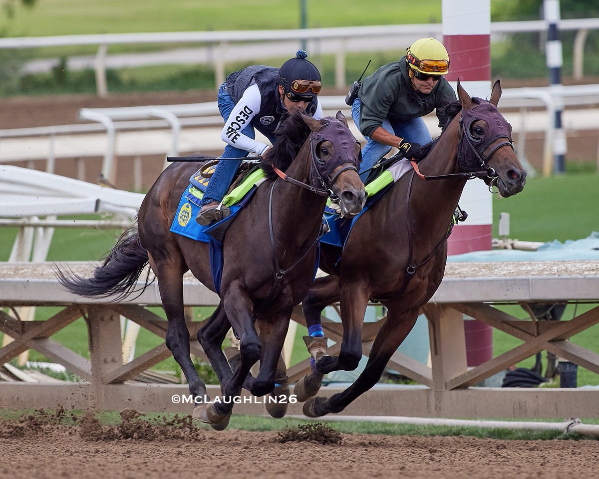 kimo16's tweet photo. Salahudin (Uncle Mo out of Weekend Strike) under Juan Ochoa worked 4F in 48.60 inside of Riccelli st with Erick Garcia up for HoF trainer Bob Baffert this morning @santaanitapark @ZedanRacing @StarlightRacing @BobBaffert @Ersick05 https://t.co/hMUXD1b1BA