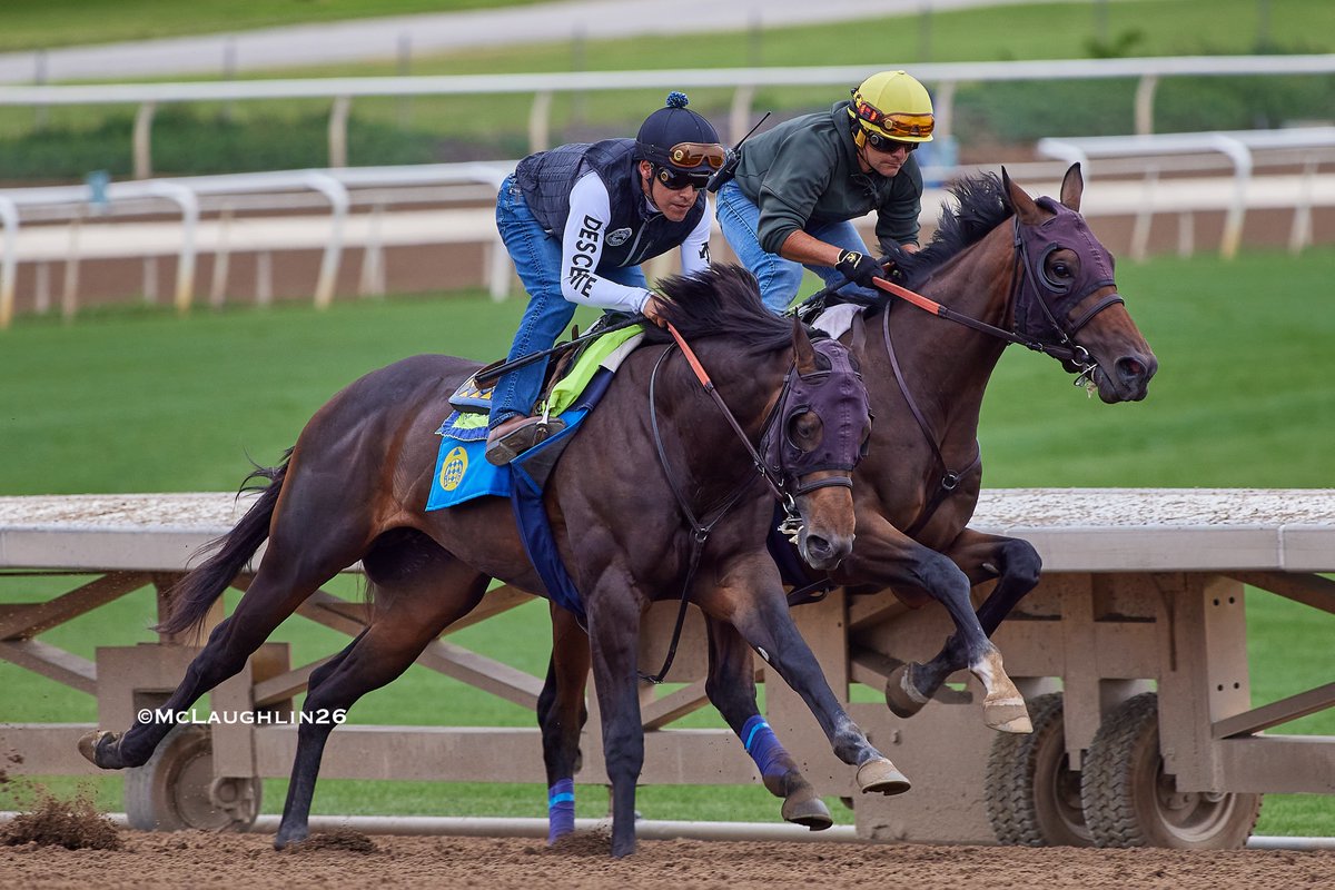 kimo16's tweet photo. Salahudin (Uncle Mo out of Weekend Strike) under Juan Ochoa worked 4F in 48.60 inside of Riccelli st with Erick Garcia up for HoF trainer Bob Baffert this morning @santaanitapark @ZedanRacing @StarlightRacing @BobBaffert @Ersick05 https://t.co/hMUXD1b1BA