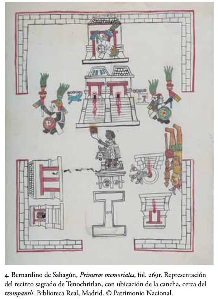 LibretaNegraMx's tweet photo. Cuando pensamos en el juego de pelota mesoamericano solemos imaginar un deporte ritual. Los códices muestran en efecto algo complejo: las canchas eran mapas simbólicos del universo. Un estudio de Eric Taladoire analizó 157 representaciones en 58 manuscritos y descubrió que la característica esencial del tlachco no eran los famosos anillos de piedra —que aparecen rara vez—, sino su forma en “I”, símbolo suficiente para identificarlo.

En los códices, el centro de la cancha concentra el significado: allí aparecen signos de movimiento, chalchihuites, cráneos y escenas rituales que aluden al equilibrio entre vida y muerte, fertilidad y sacrificio. Más de cien representaciones funcionaban además como topónimos, nombres de ciudades o referencias políticas e históricas.

El tlachco era una puerta simbólica al inframundo, el lugar donde el Sol descendía para renacer y donde se renovaba el orden cósmico. Incluso tras la Conquista, las canchas siguieron apareciendo en documentos indígenas. El juego desapareció; su significado permaneció.

#JuegoDePelota #Códices #MéxicoAntiguo #ArqueologíaMexicana #HistoriaDeMéxico #PatrimonioCultural #Cosmovisión #CultivamosMemorias #México #Arqueología