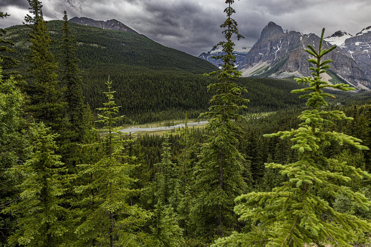 jeffSolb's tweet photo. @Philly_P87 Banff/Canmore, hard to get a bad photo in this area! https://t.co/iORmHuPUDF