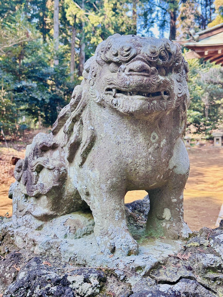 側高神社 の #狛犬」B ①吽形 ②阿形 ③拝殿 ④鳥居 祭神:高皇産霊尊