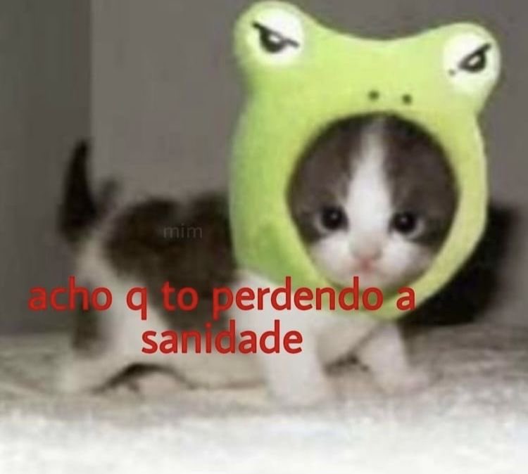 shitpostverdade's tweet photo. https://t.co/zTmpSi7TCy