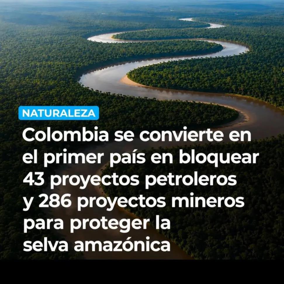 Sen_Ya_Sen's tweet photo. Colombia blindó su Amazonía entera.

Primer país en hacerlo. 483.000 km² protegidos. 43 proyectos petroleros y 286 mineros bloqueados.

Este es el camino de Iván Cepeda: vida por encima del extractivismo.

Abelardo quiere lo contrario: fracking en páramos y reservas. Destrucción donde debe haber futuro.

La diferencia es abismal.
Un modelo protege. El otro destruye.

Elige vida