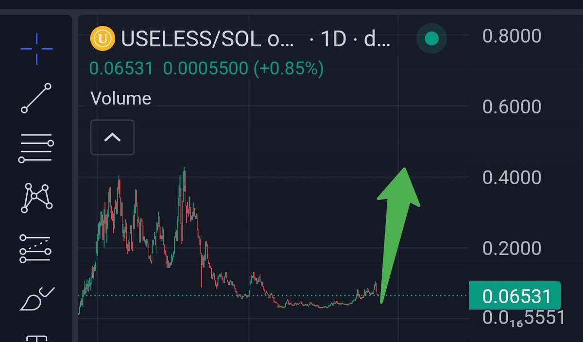bitcoinlfgo's tweet photo. #USELESS &amp; $FLOKI WILL START THE MEMECOIN SUPERCYCLE 

BUYING HERE . https://t.co/k5qEv5SZkR