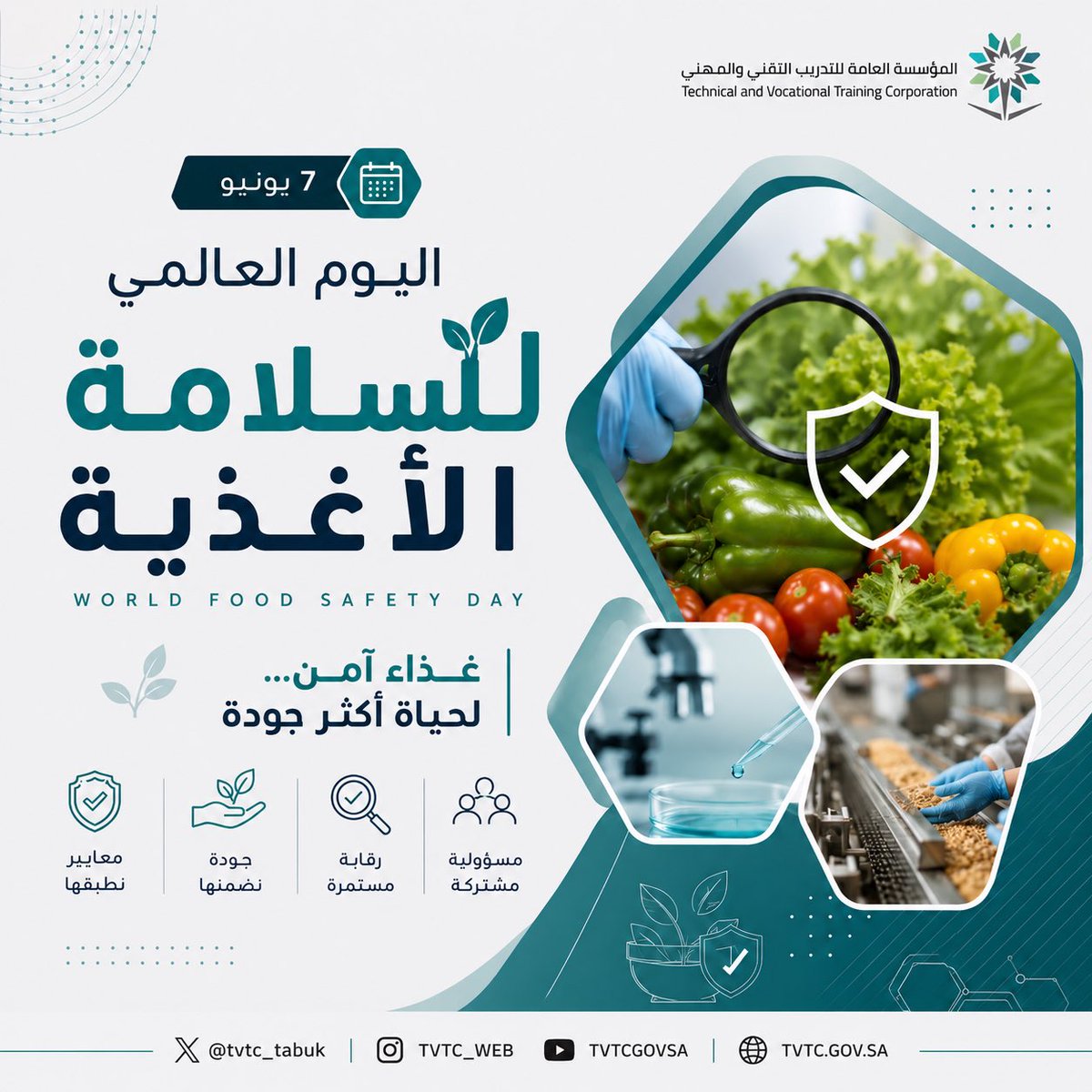 tvtc_tabuk's tweet photo. غذاء آمن… حياة أكثر جودة ..

#اليوم_العالمي_لسلامة_الأغذية 
#التدريب_التقني https://t.co/B4Ct9nxuYk