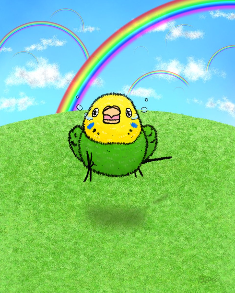 Bou_toriartclub's tweet photo. 会えた‼️🦜💖
#虹の橋待合所 #虹の橋 #rainbowbridge https://t.co/1QKOdUxaqM