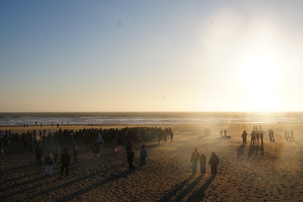 jeev1k's tweet photo. got a ton of sf bay area interns together for a sunset bonfire yday at ocean beach https://t.co/iVb6N4uowN