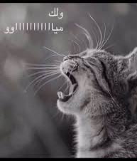 notturjeje's tweet photo. اقسم بالله مافي شي يوجع كثر ان نفسيتك تنعكس على بشرتك https://t.co/AKW6WqY8YE