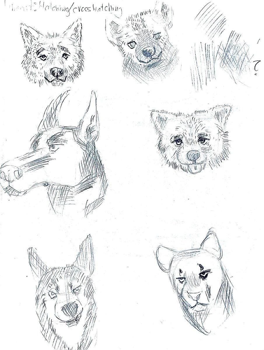 mukorama's tweet photo. Another practice of hatching and cross hatching, I think I like it but it's kinda hard for me, anyway I like the red fox one, it's giving https://t.co/YHiI2cE1Nt
