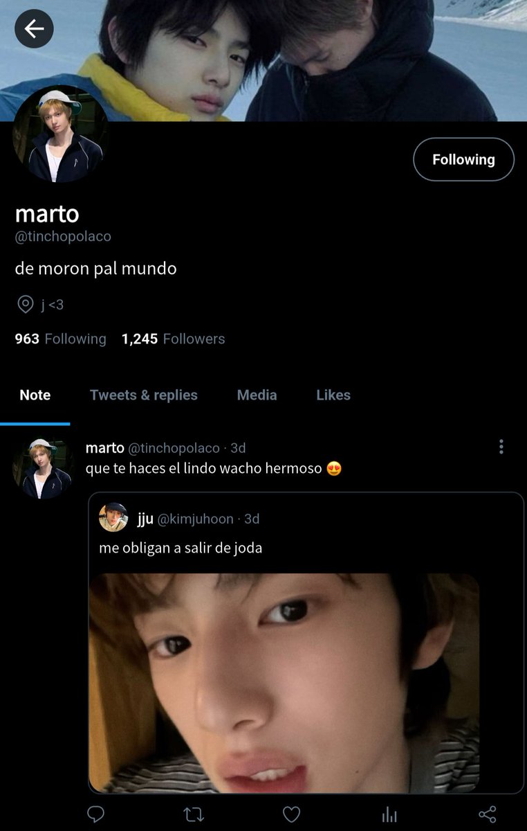kiddvogue's tweet photo. martin 
- de moron 
- mejor amigo de keonho desde salita de 5
- hace un año se puso de novio con juhoon dsp de quebrar en su casa

james 
- cordobés que se mudo a nuñez hace unos años
- estudia en fadu (proyecté)
- mejor amigo de juhoon, sale con los demás pq no le queda otra https://t.co/iE2FdqgSNt