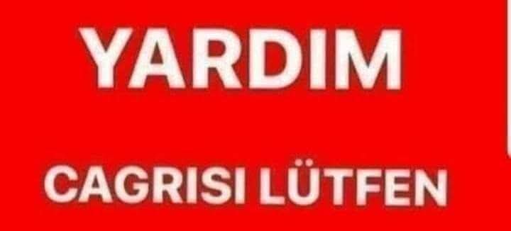 cahitcakir's tweet photo. Bir günlük bebek kedi için süt anne varmı bildiğiniz 05383390755 Gülten Erdem bebek denizlide https://t.co/gReFz9L6tg