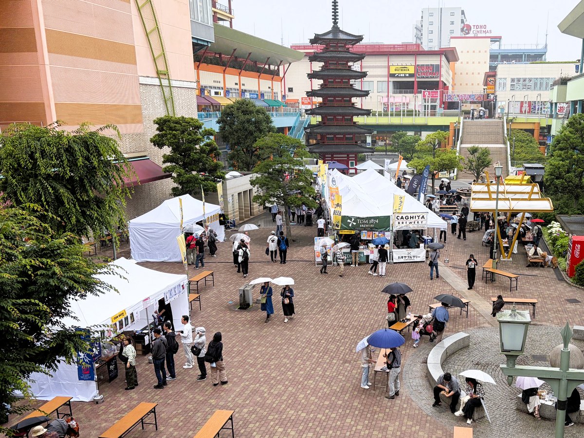 Mee_Matatabi's tweet photo. 昨日は、海老名中央公園で開催された「EBINA BOOZE FEST 2026」へ🍻
なんとか雨が本降りになる前に、美味しい一杯に辿りつくことができました😌
🍺MIURA COAST IPA
🍺ほっぷにゃー
のお相手には、うぶちゃんの焼き鳥＆TOTTYのピザという地元のスターたちをご指名✨
次回の開催も楽しみにしてまっせー🙏 https://t.co/70tYwP61wL