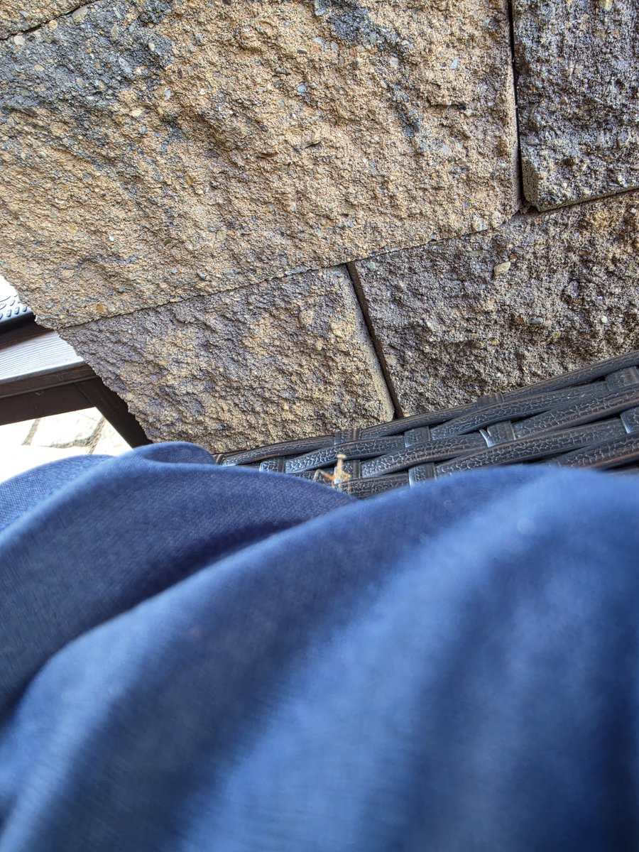 AHC1776's tweet photo. Hello little friend. https://t.co/Y0ehpVcWDT