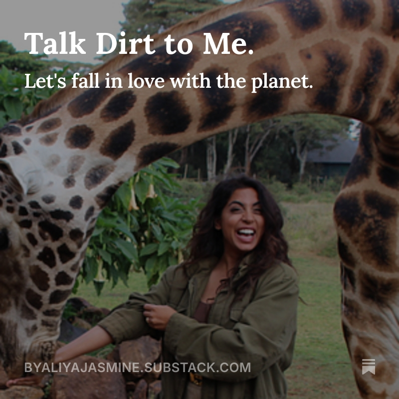 aliyajasmine's tweet photo. I’ve spent the last decade reporting about the natural world on TV,  and the truth is usually stranger, funnier, and far weirder than what can fit into a quick live hit, or what gets funded for a film. Which is why today, I'm launching my own Substack! 

https://t.co/bZqleEibqI https://t.co/0sfAGVnWDX