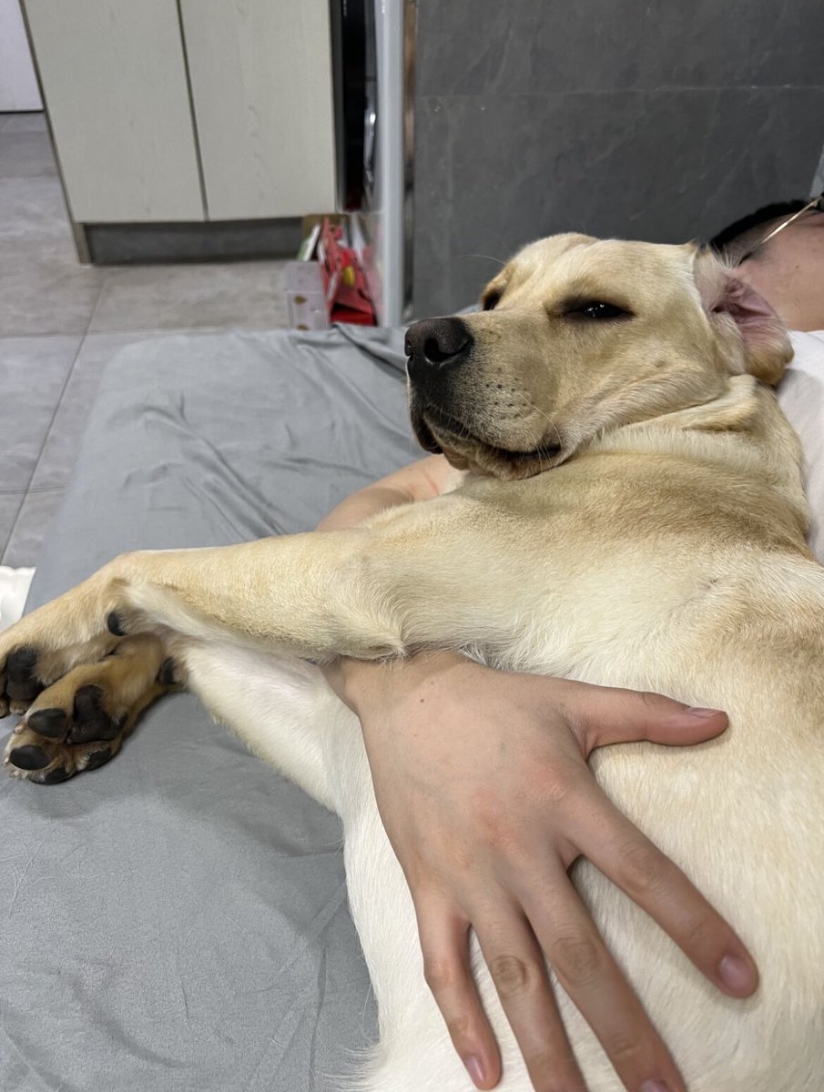 CamPeRaofficial's tweet photo. Nothing beats coming home to a wagging tail and a furry friend waiting just for you. Pet love makes every day warmer. https://t.co/0p5wUvozAr