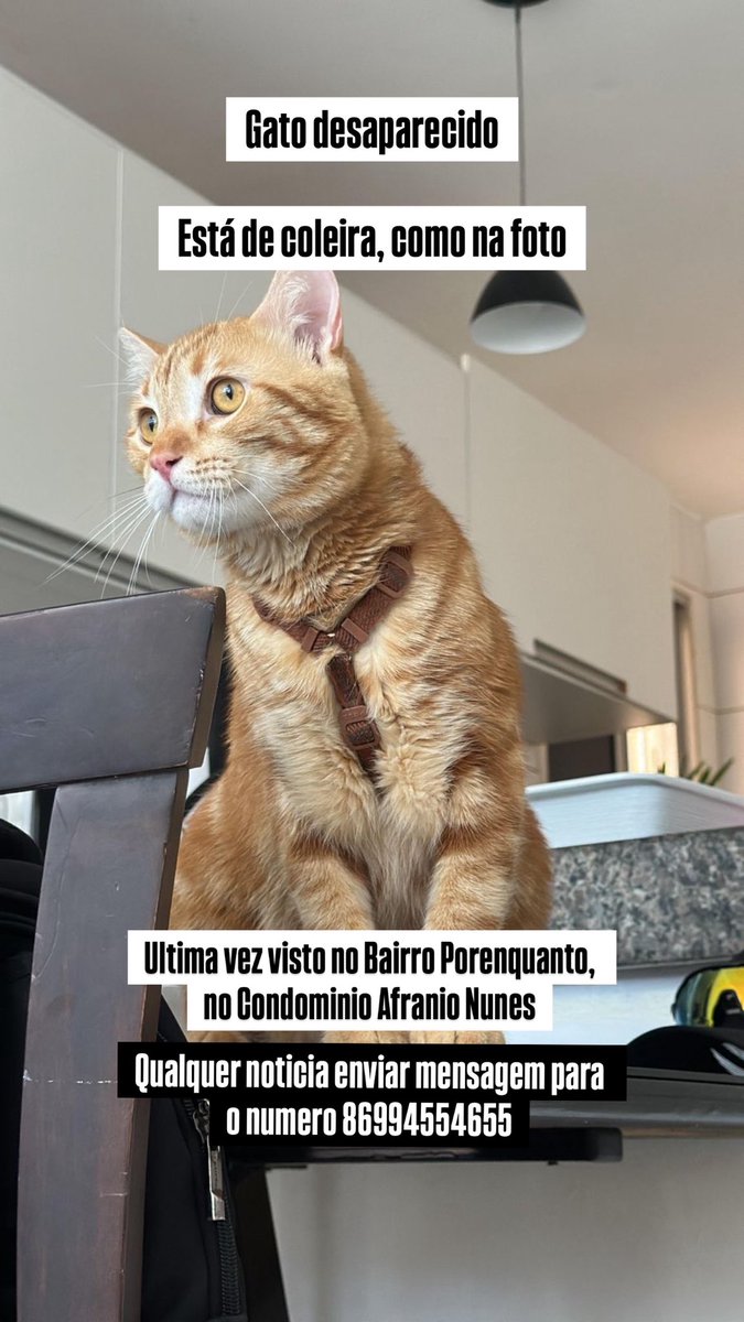 bronimm's tweet photo. Rt pra ajudar https://t.co/uHzyB4z4j6