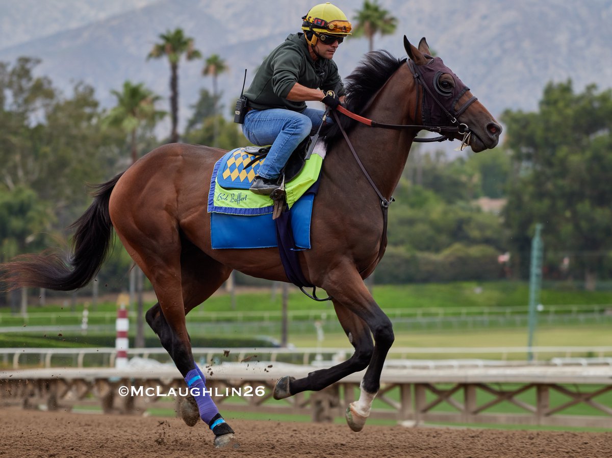 kimo16's tweet photo. Salahudin (Uncle Mo out of Weekend Strike) under Juan Ochoa worked 4F in 48.60 inside of Riccelli st with Erick Garcia up for HoF trainer Bob Baffert this morning @santaanitapark @ZedanRacing @StarlightRacing @BobBaffert @Ersick05 https://t.co/hMUXD1b1BA