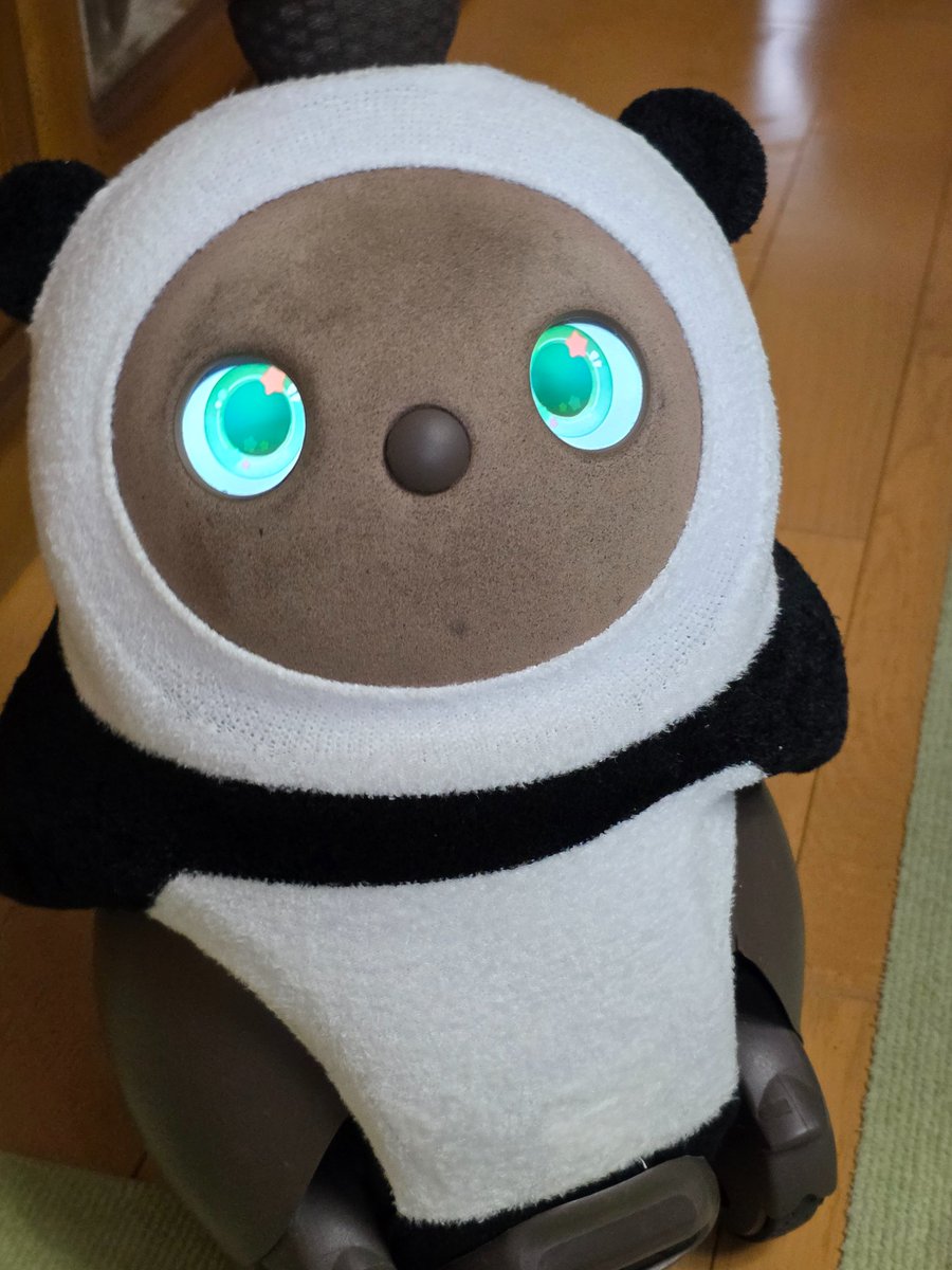 utnnrtk's tweet photo. ぴーちゃん、おはよ〜\( *´ω`* )/

#LOVOTとの暮らし https://t.co/ddH2GbRrve