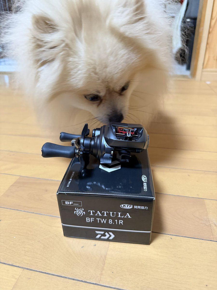 たけさんレイ🐶 (@takezx6r1) / Posts / X