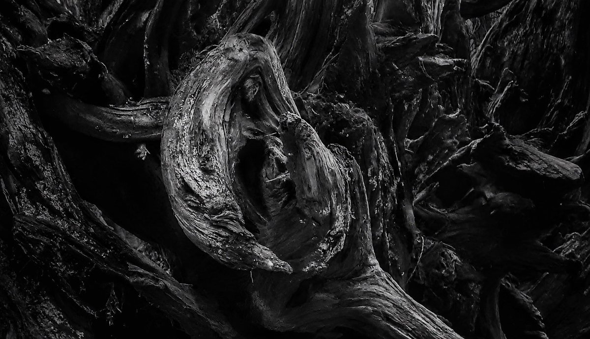 VikingRob33's tweet photo. ᚦ Root-Gate ᚾ
The way beneath
was older than the way above.
#monochromephotography #fineart #naturelore #wisdomart #norse https://t.co/XQ2xH5nO1t