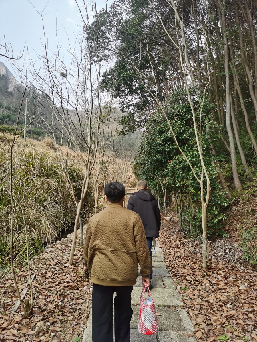 LocadoraLeo's tweet photo. A stranger held the door for my 80-year-old grandma and carried her groceries all the way home today. Restored my faith in small kindnesses https://t.co/smA4u0uicN