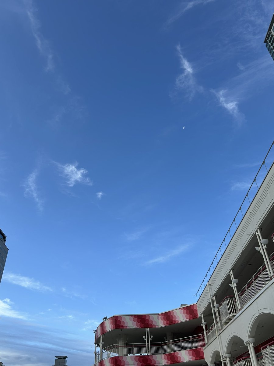 G_S_Equalizer's tweet photo. 外気温計が21℃を指すスパークリングな朝⛅️
今朝もテナントビル内ではつばめちゃん夫婦2組が子育て奮闘中〜!💪
未だつばくろちゃんの顔は観れないな〜😺
つばめちゃん夫婦達頑張れ〜!😸
今日はシュワっとした良い日になりますわい!😽

#イマソラ 
#いまそら 
#つばめ 
#キリトリセカイ https://t.co/rRmGTI3D1L