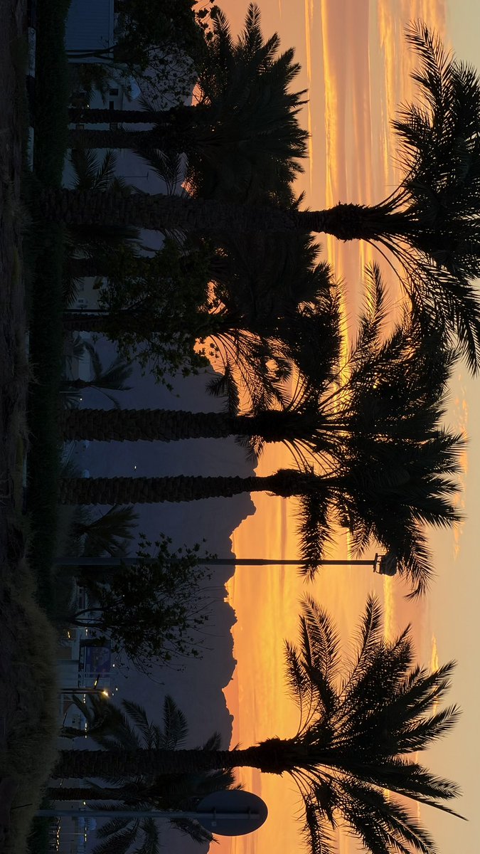 KRT2_'s tweet photo. الاحد بكم صورة♥️ https://t.co/gys6agkNpY