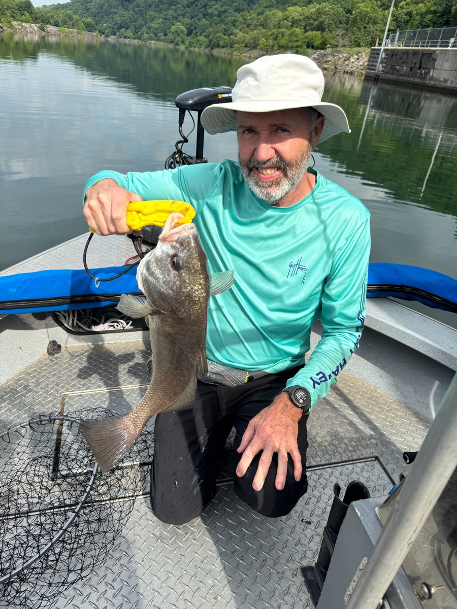 Capt_Billy_TN's tweet photo. Another Striped Bass in the boat along with a few other fish!  On a Threadfin!  Boy is it getting hot out now!  It's slowed down the bite some but there are still some fish biting!  My guide site: https://t.co/D4jNvYQ0kV #guidelife #fishing #stripedbass https://t.co/x45qiJ8OZY