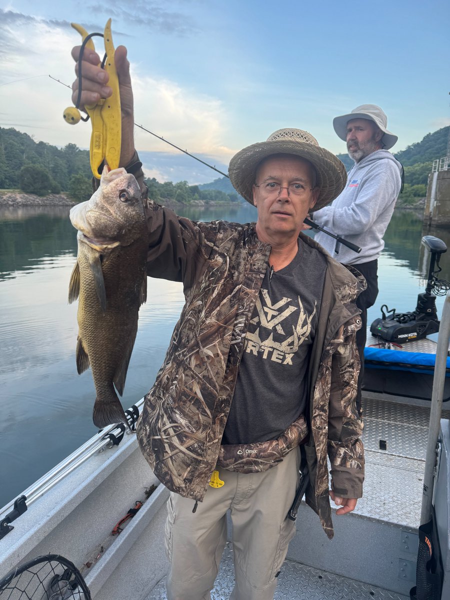 Capt_Billy_TN's tweet photo. Another Striped Bass in the boat along with a few other fish!  On a Threadfin!  Boy is it getting hot out now!  It's slowed down the bite some but there are still some fish biting!  My guide site: https://t.co/D4jNvYQ0kV #guidelife #fishing #stripedbass https://t.co/x45qiJ8OZY
