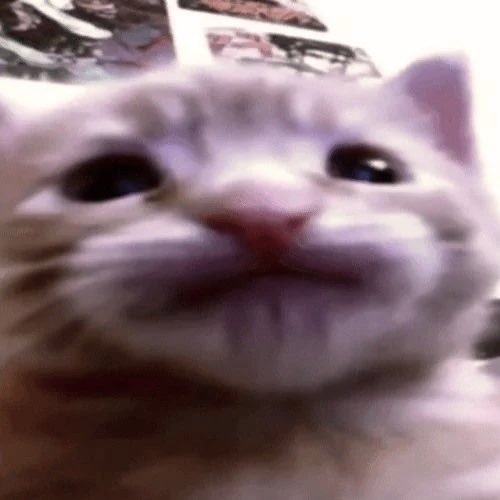 JISH0LIC's tweet photo. :] https://t.co/JaQX5tcXBw