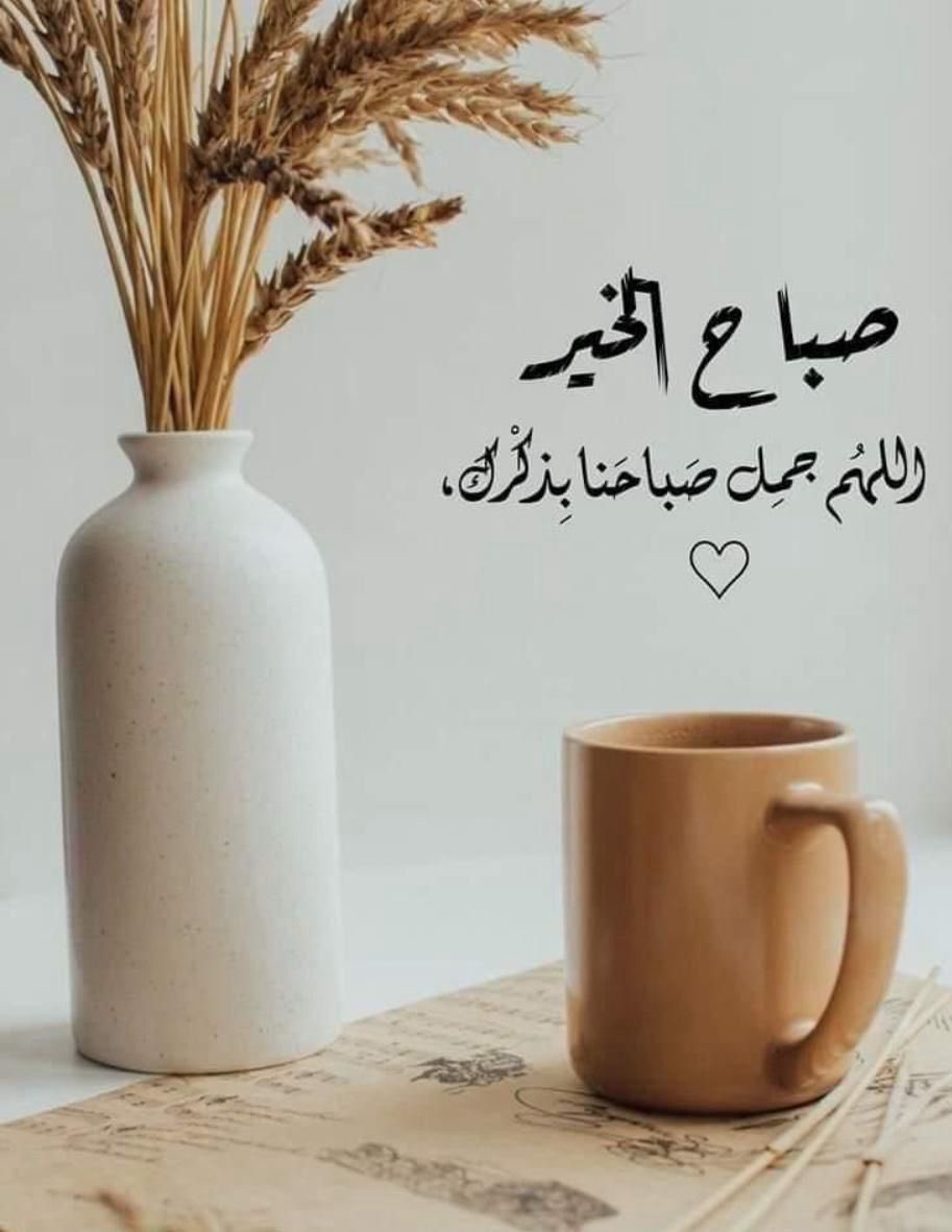 muna_ali2026's tweet photo. ..
يأتي الصباح برفقٍ يشبه حنان من نحب، فيهمس للقلوب: لا شيء يدوم سوى الأمل، ولا أجمل من بدايةٍ تُشرق بالدعاء والمحبة🤍

🌹🌹🤍
#صباح_آلخيــــر 
#صباح_الأشياء_المُشرقة 
 #نزوي https://t.co/67Isos9vCv