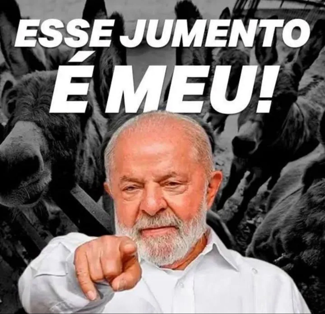 F1MORAIS's tweet photo. @AndreRockNatal https://t.co/Jv72Zj5sLV
