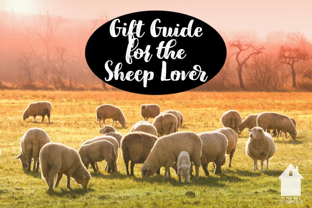 As4MyHomestead's tweet photo. Gift Guide for the Sheep Lover: Do you have a sheep lover in your life?  This is the ultimate sheep gift guide for Christmas, birthdays, or just for fun!  
https://t.co/dmICjS3OHn https://t.co/XO0ZxN0idL