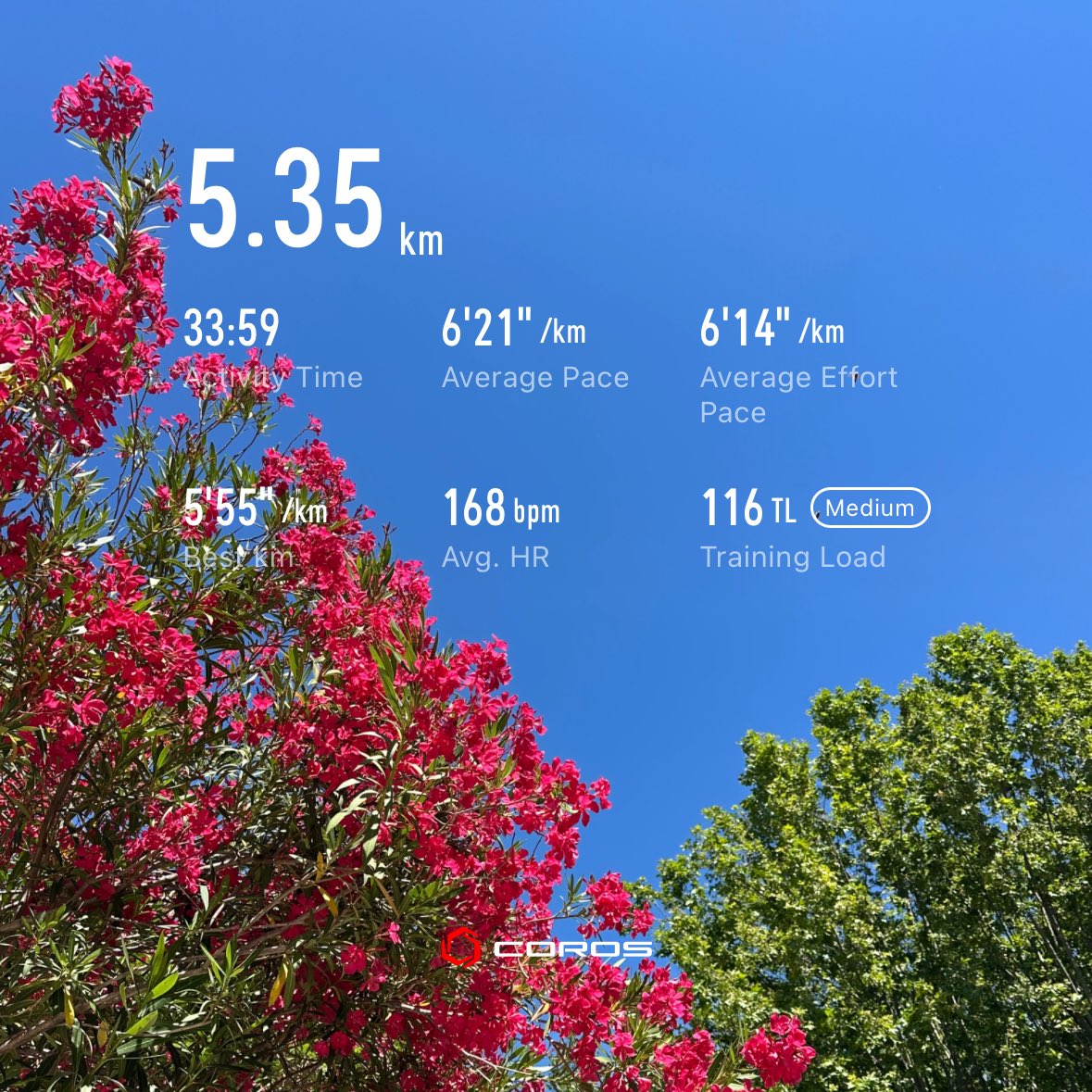 nowhereryan's tweet photo. 오늘도 달림. 5k 31:35. 총 5.35k. 천천히 달렸는데 이상할 정도로 심박이 너무 높았다. 근육이나 호흡이 피로하지 않은데 심박만 높은 건 처음이네. 10k 정도 달리자고 나섰다가 무리하지 말자고 중간에 돌아왔는데 그러길 잘 했어. 쿨다운 워킹에 엄청 몸이 무겁더라. 이상한 런이었다. https://t.co/HDg9iLpSMf