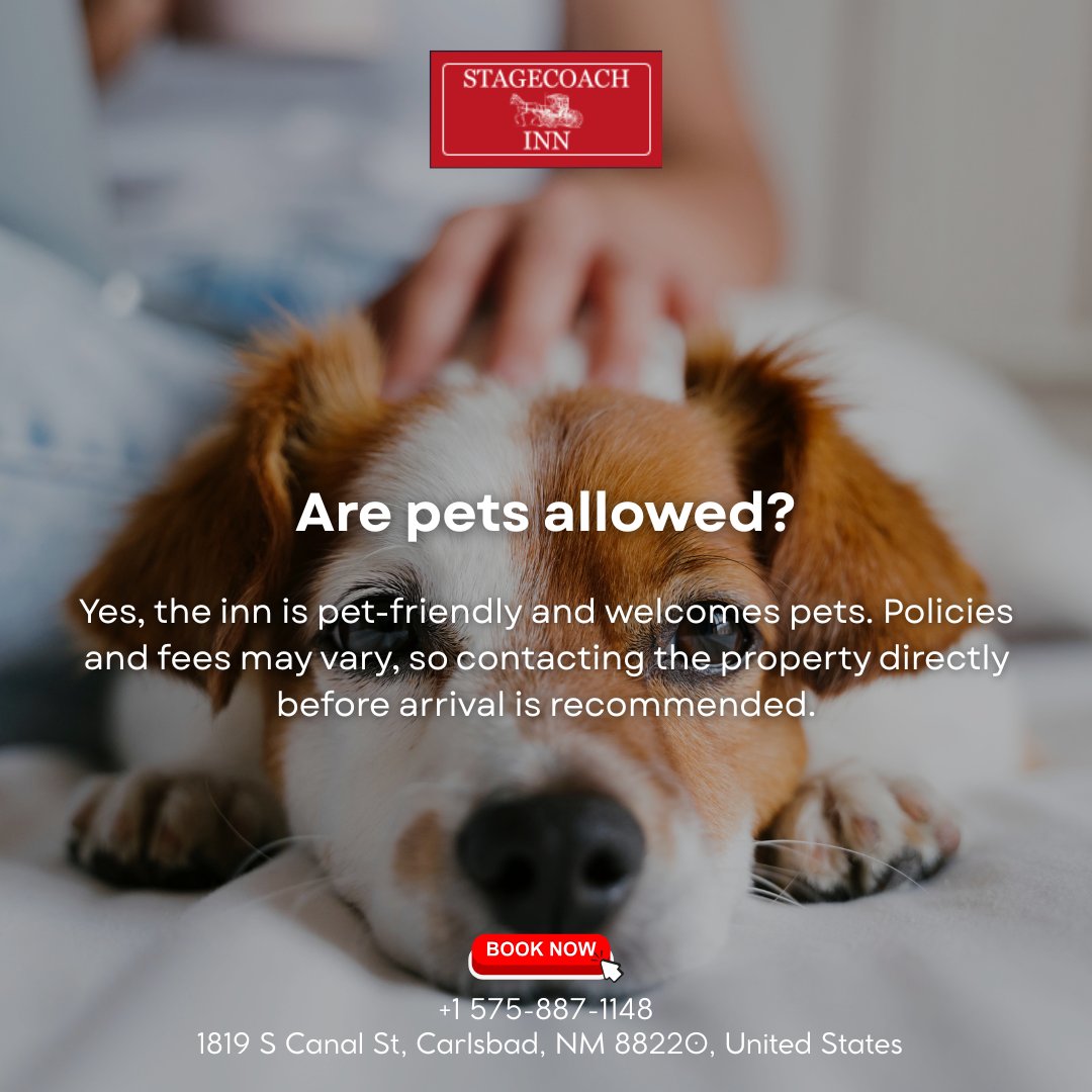 StageCoachInnNM's tweet photo. ARE PETS ALLOWED? 🐾✨
Yes, this inn is pet-friendly and welcomes your furry companions. Policies and fees may vary, so it’s best to contact the property before arrival.
📞 +1 575-887-1148
📍 1819 S Canal St, Carlsbad, NM 88220
BOOK NOW
 #CarlsbadNM #PetFriendlyStay https://t.co/wd1iXZdxxY