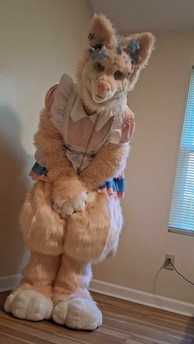RemiTheHuscow's tweet photo. Oh, so you guys like the fursuit maid outfit then? Looks like that's the one that's going to win the vote 😻
I cant believe you guys are making me do a full suit on my day off.. not like that wasn't already the plan lol
#furry #fursuiteveryday #fursuit #nsfwtwt https://t.co/PtV5Z3xDA8