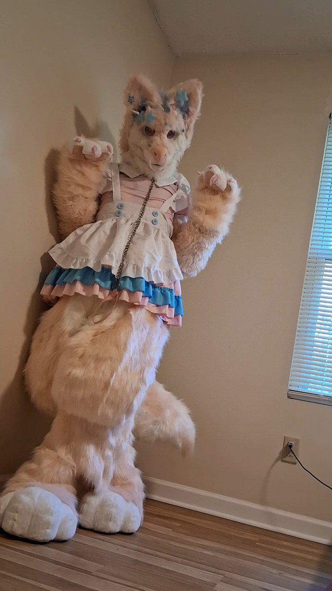 RemiTheHuscow's tweet photo. Oh, so you guys like the fursuit maid outfit then? Looks like that's the one that's going to win the vote 😻
I cant believe you guys are making me do a full suit on my day off.. not like that wasn't already the plan lol
#furry #fursuiteveryday #fursuit #nsfwtwt https://t.co/PtV5Z3xDA8