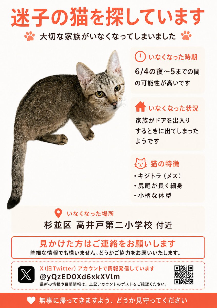 creatureslove1's tweet photo. @yQzED0Xd6xkXVlm @aki8564 東京都 杉並区 高井戸 6/4夜〜6/5 #迷子猫 #迷い猫  猫探してます

#キジトラ ♀ 長尻尾 小柄 #拡散希望 https://t.co/ZxmDAfwsh5