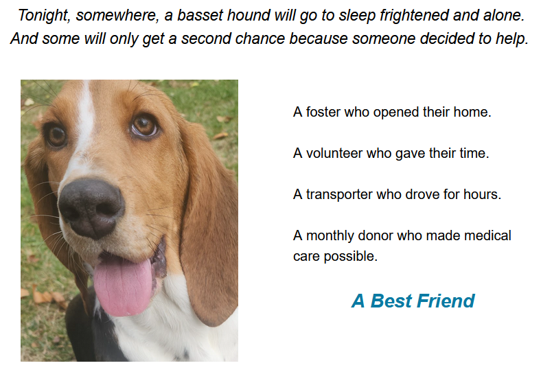 GABR_Bassets's tweet photo. Aarrhhoooo!
Join BFF:  https://t.co/jiAgoie1Fz
Learn About Fostering:  https://t.co/CcOaZqOo2U
Inquire About Transport:  contact@bassetrescue.org

#Basset #BassetHound #RESCUE #NationalBestFriendsDay https://t.co/XeCE13oJXY